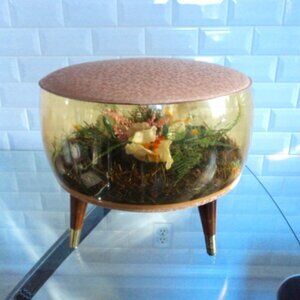 vintage terrarium bubble foot stool